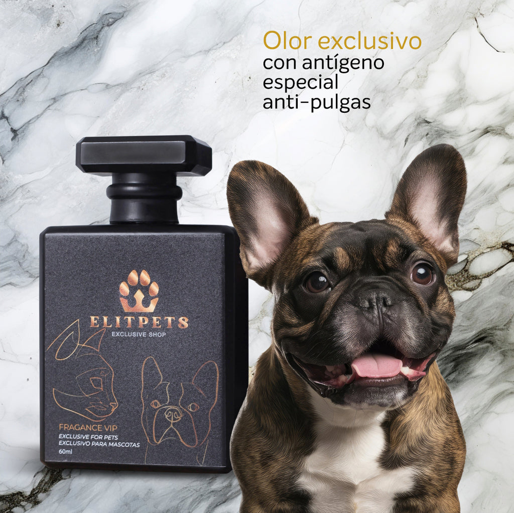 KIT PERFUME PARA MASCOTAS