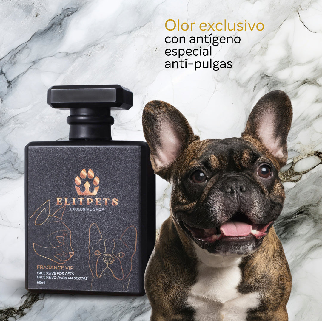 KIT PERFUME PARA MASCOTAS