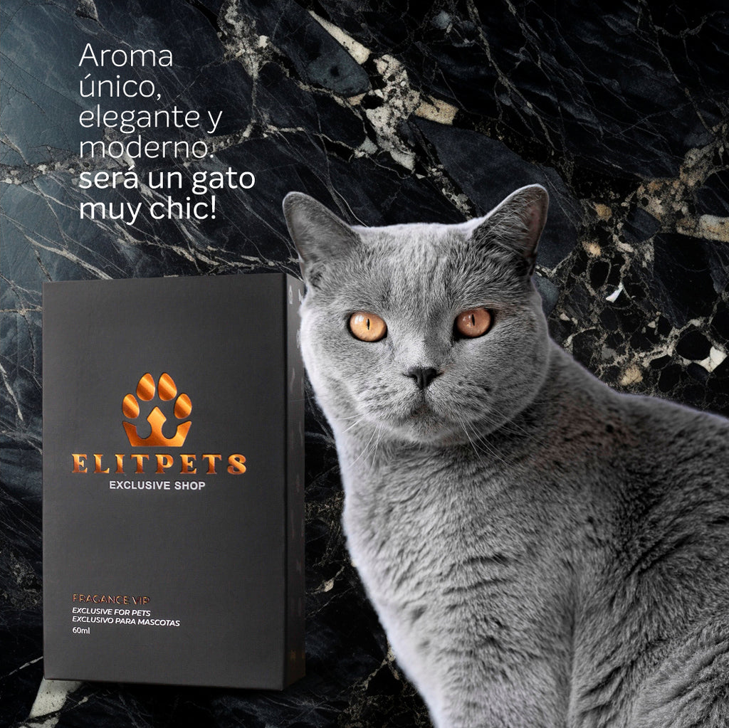 KIT PERFUME PARA MASCOTAS
