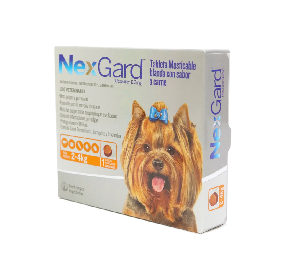 NEXGARD ANTIPULGAS